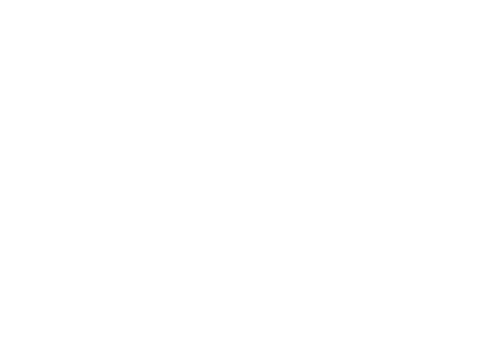 RenRiot